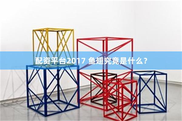 配资平台2017 鱼翅究竟是什么？