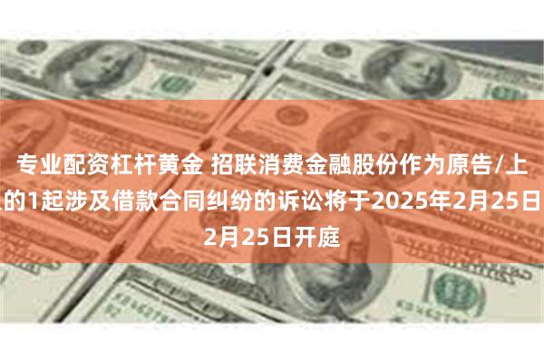 专业配资杠杆黄金 招联消费金融股份作为原告/上诉人的1起涉及借款合同纠纷的诉讼将于2025年2月25日开庭