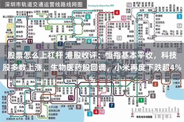 股票怎么上杠杆 港股收评：恒指基本平收，科技股多数上涨，生物医药股回调，小米再度下跌超4%