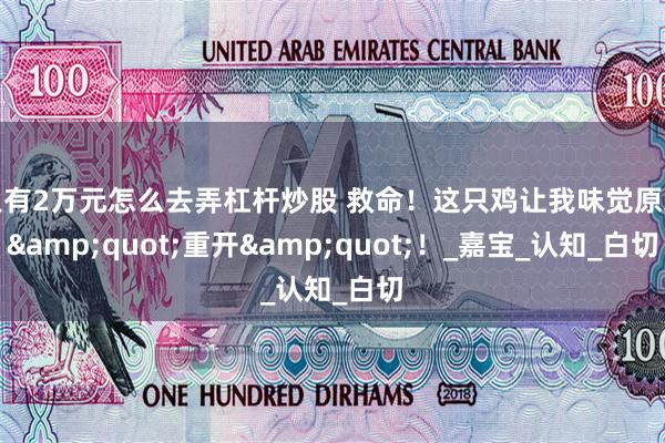 只有2万元怎么去弄杠杆炒股 救命！这只鸡让我味觉原地&quot;重开&quot;！_嘉宝_认知_白切