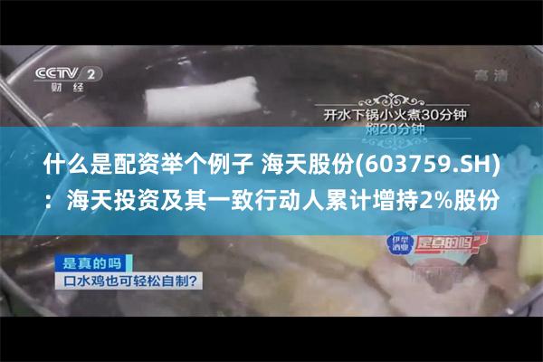 什么是配资举个例子 海天股份(603759.SH)：海天投资及其一致行动人累计增持2%股份