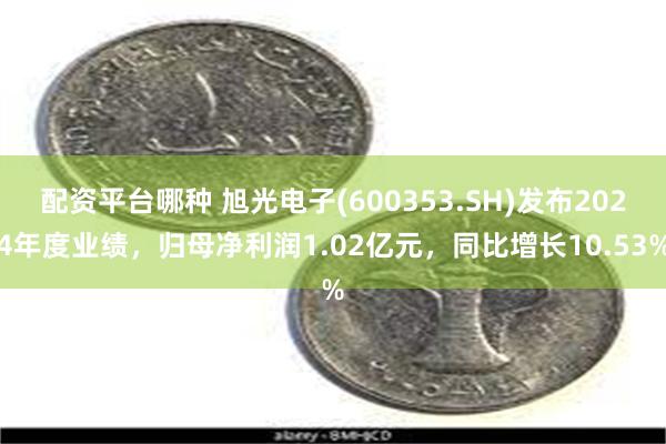 配资平台哪种 旭光电子(600353.SH)发布2024年度业绩，归母净利润1.02亿元，同比增长10.53%