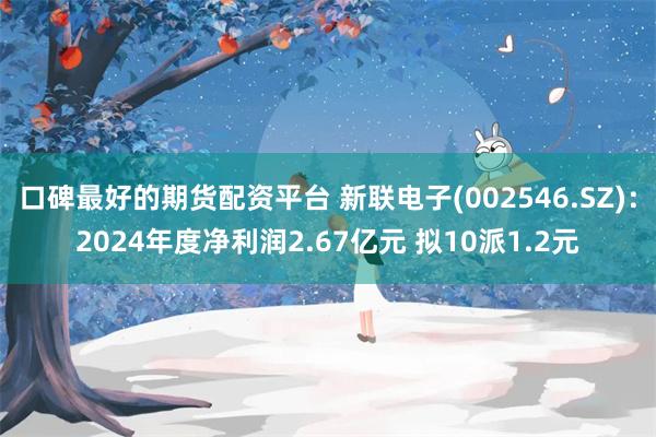 口碑最好的期货配资平台 新联电子(002546.SZ)：2024年度净利润2.67亿元 拟10派1.2元
