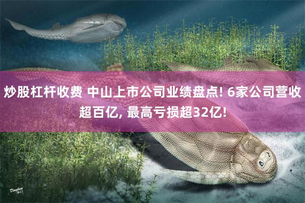 炒股杠杆收费 中山上市公司业绩盘点! 6家公司营收超百亿, 最高亏损超32亿!