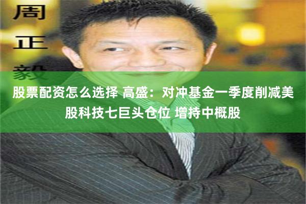 股票配资怎么选择 高盛：对冲基金一季度削减美股科技七巨头仓位 增持中概股