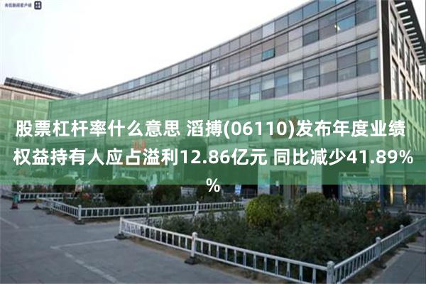 股票杠杆率什么意思 滔搏(06110)发布年度业绩 权益持有人应占溢利12.86亿元 同比减少41.89%