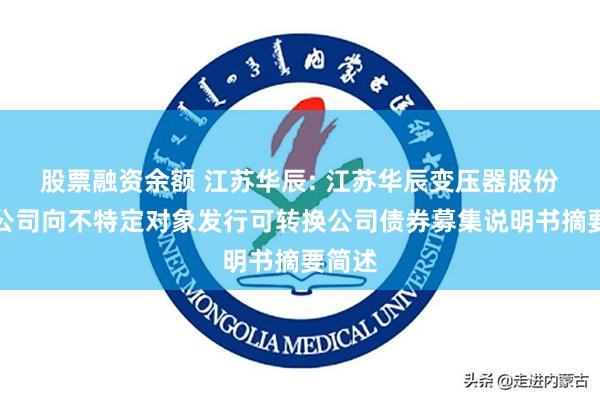 股票融资余额 江苏华辰: 江苏华辰变压器股份有限公司向不特定对象发行可转换公司债券募集说明书摘要简述