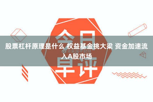 股票杠杆原理是什么 权益基金挑大梁 资金加速流入A股市场