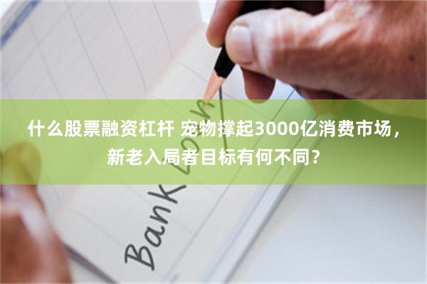 什么股票融资杠杆 宠物撑起3000亿消费市场，新老入局者目标有何不同？