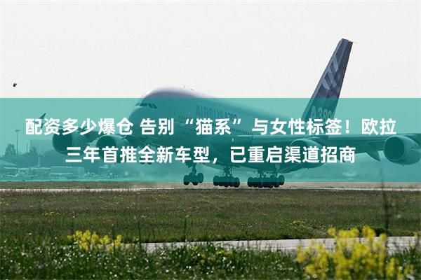 配资多少爆仓 告别 “猫系” 与女性标签！欧拉三年首推全新车型，已重启渠道招商